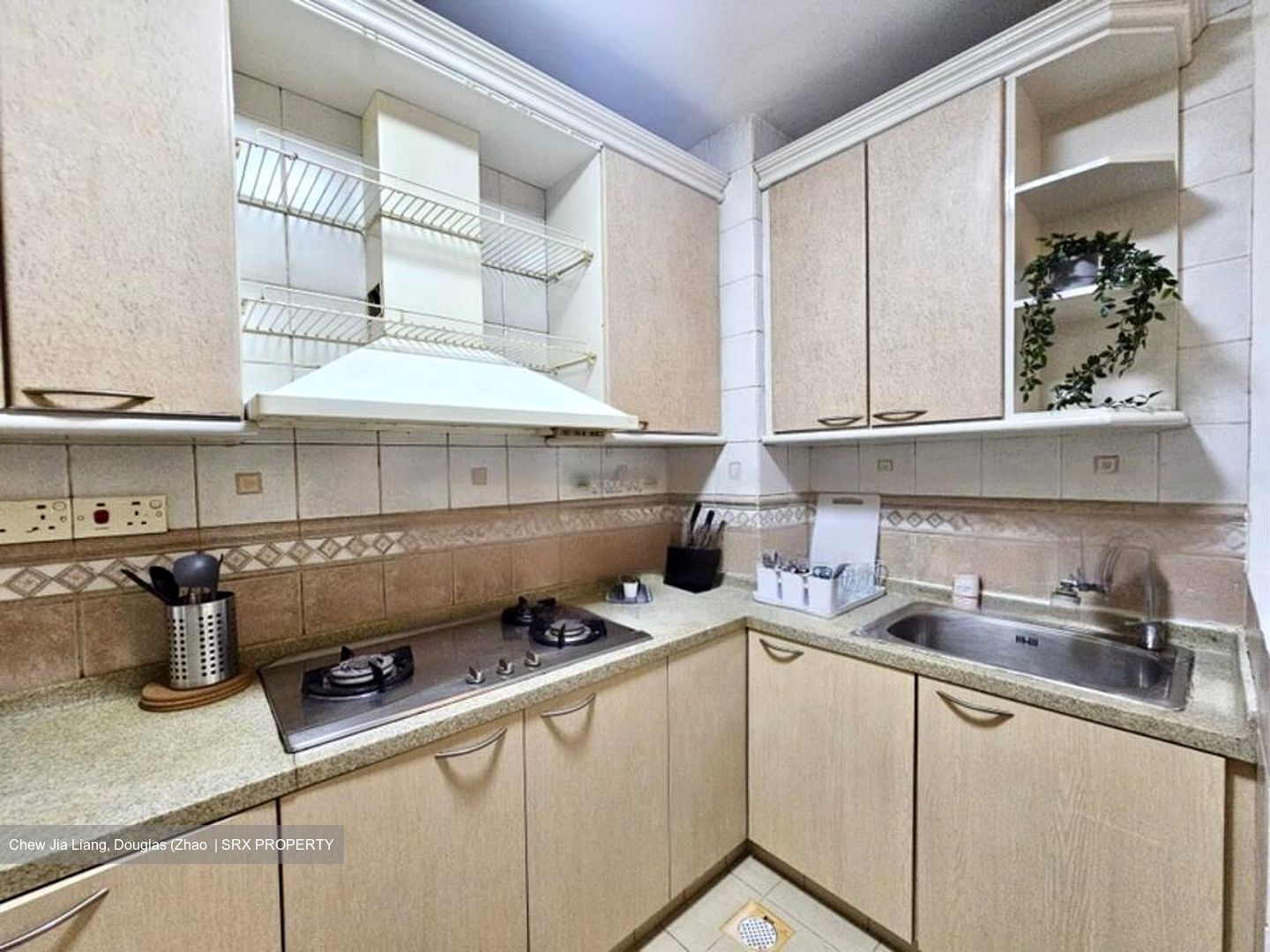 Regent Park (D5), Condominium #505373561